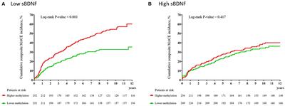 Modifying effect of the serum level of brain-derived neurotrophic factor (BDNF) on the association between BDNF methylation and long-term cardiovascular outcomes in patients with acute coronary syndrome